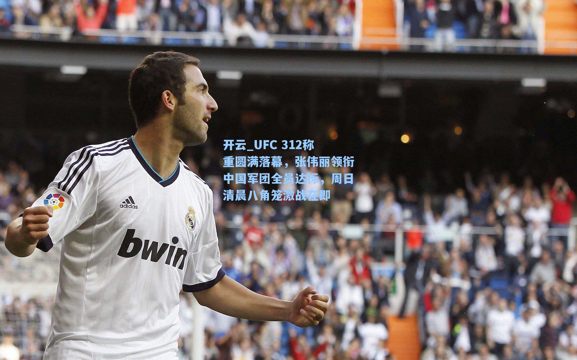 开云_UFC 312称重圆满落幕，张伟丽领衔中国军团全员达标，周日清晨八角笼激战在即